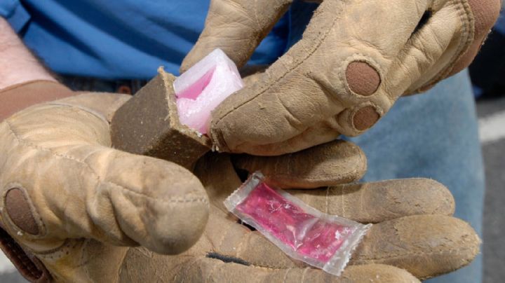 Autoridades de Salud activan programa aéreo de vacunación antirrábica en el sur de Texas