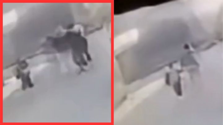 Madre e hijo se dirigían a la escuela en Edomex; son agredidos por hombres presuntamente armados | VIDEO
