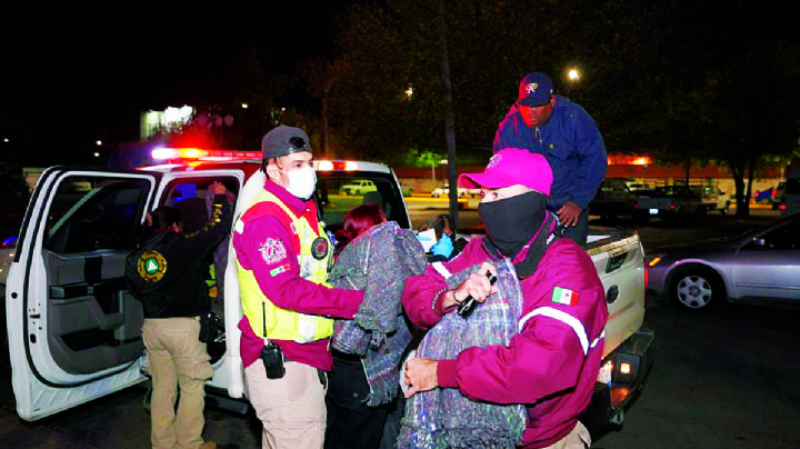 Temporada de invierno en Nuevo Laredo: así puede proteger a sus animales y plantas