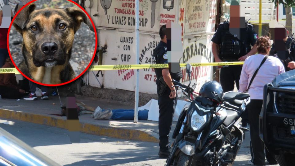 Hasta ahora, no se reportan personas detenidas, y las autoridades continúan con las investigaciones