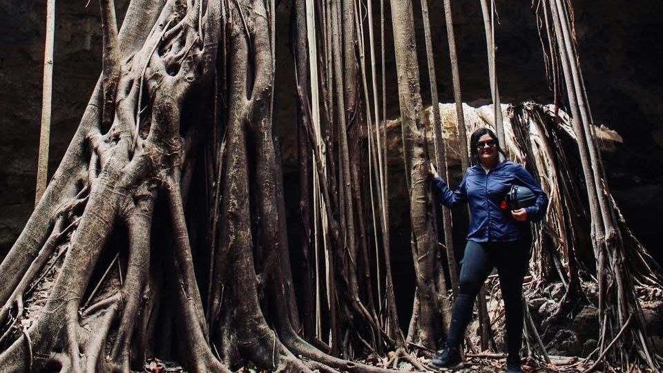 Turismo internacional crece en Tamaulipas