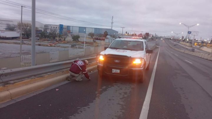 Protección Civil descarta hielo en puentes de Nuevo Laredo; mantienen vigilancia por bajas temperaturas