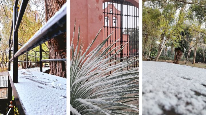 Inesperada nevada cubre Lampazos, Nuevo León, y desata la emoción en sus habitantes | VIDEO