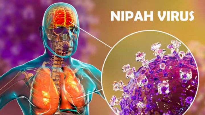 Confirman brote del virus Nipah; enfermedad sin vacuna y alta mortalidad preocupa a la OMS