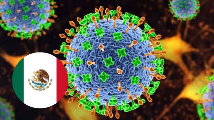 ¿Hay casos de Nipah en México?; esto es lo que sabemos del virus