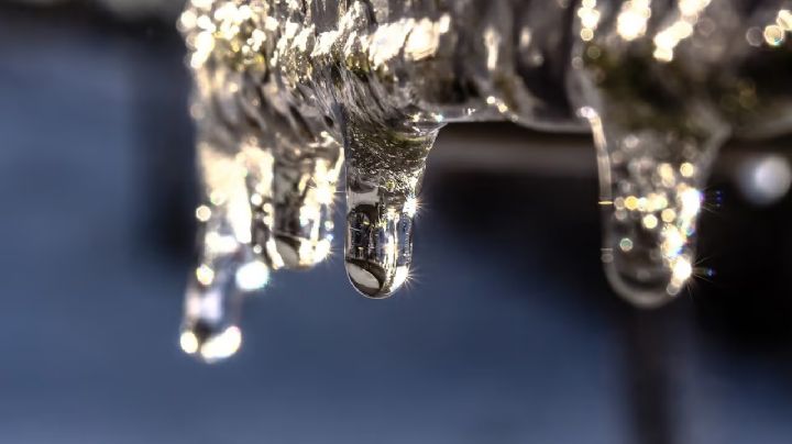 Tres hermanitos mueren al caer a estanque de agua congelada en Texas; así ocurrieron los hechos