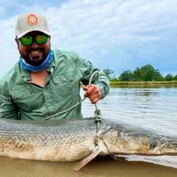 Este es el 'monstruo' fósil de 80 afilados dientes que habita en el río Bravo; es un trofeo para los pescadores