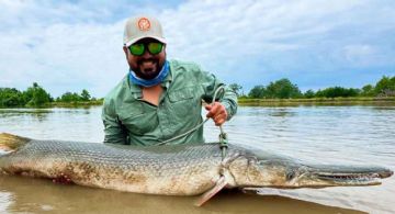 Este es el 'monstruo' fósil de 80 afilados dientes que habita en el río Bravo; es un trofeo para los pescadores