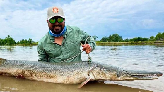 Este es el 'monstruo' fósil de 80 afilados dientes que habita en el río Bravo