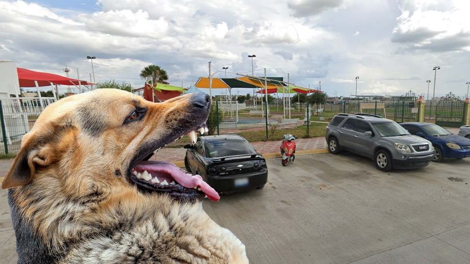 El caso ocasionó un revuelo en redes sociales en Nuevo Laredo