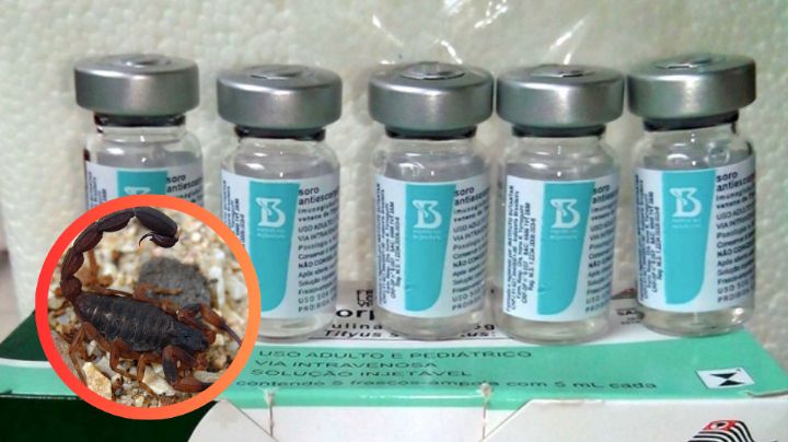 Mueren dos niñas por picaduras de alacrán; denuncian falta de antídotos