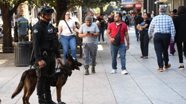 Nuevo León invierte 2.5 mdp en estos 4 'perros'; aseguran que su costo vale cada peso