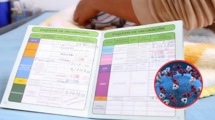 Así puedes recuperar tu cartilla de vacunación si  la perdiste; indispensable ante alerta por sarampión
