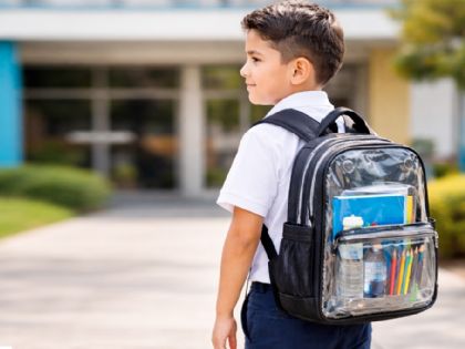 ¿Dónde comprar mochilas transparentes resistentes y a buen precio?