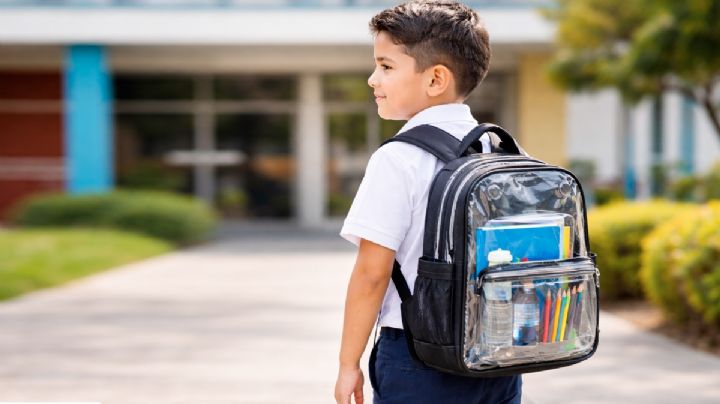 ¿Dónde comprar mochilas transparentes resistentes y a buen precio?