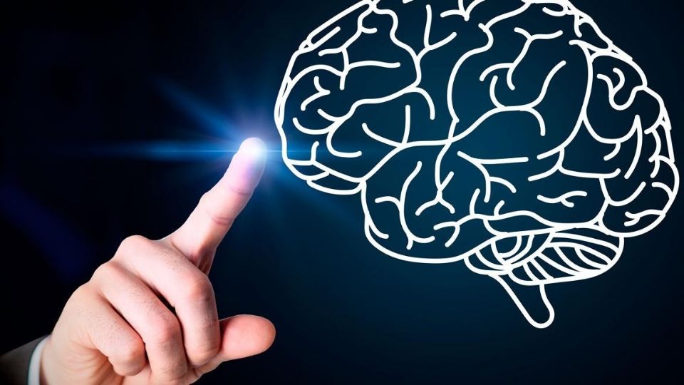 Expertos explican cómo tu entorno diario afecta tu percepción y decisiones