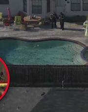 Foto descriptiva de: Hallan sin vida a dos hermanitas en la alberca de su casa en Texas; solo tenían 2 y 3 años
