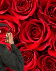 Foto descriptiva de: Embarque de rosas termina en decomiso histórico; hallan ‘polvo blanco’ con valor millonario en front