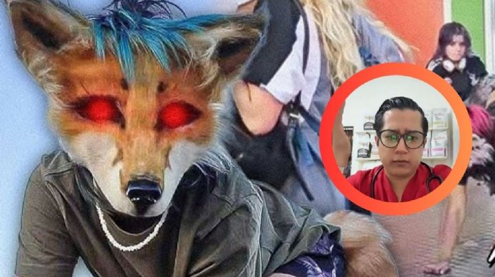 'Le apliqué la eutanasia': veterinario asegura que 'atendió' a un Therian y tuvo que 'dormirlo' | VIDEO