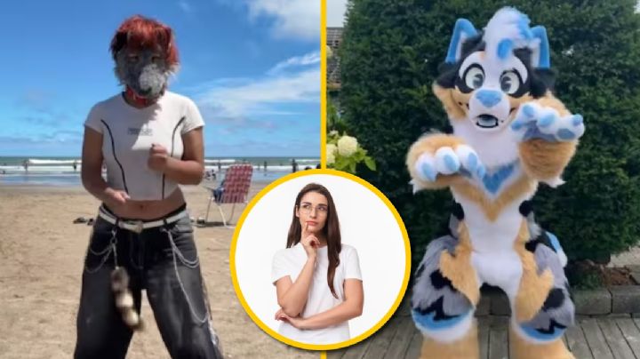 ¿Cuál es la diferencia entre un therian y un furro?; se parecen pero no son iguales