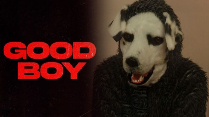 ‘Good Boy’: esta película podría ser la mayor inspiración de los Therians, según expertos | VIDEO