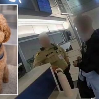 Mujer abandona a su perro en aeropuerto; no imaginó lo que pasaría después | VIDEO