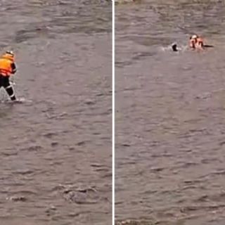 Rescatista intenta salvar a un perro de ser arrastrado por el río; la corriente se los llevó a ambos