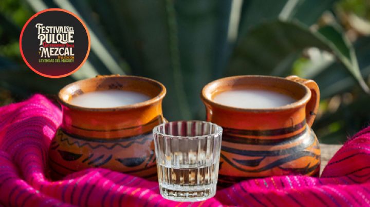Pulque, mezcal y antojitos mexicanos: el festival perfecto para saborear la diversidad de México en un solo lugar