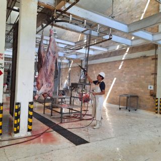 Beneficiará Pascua al Rastro Municipal; se avecina alta demanda por carne de res