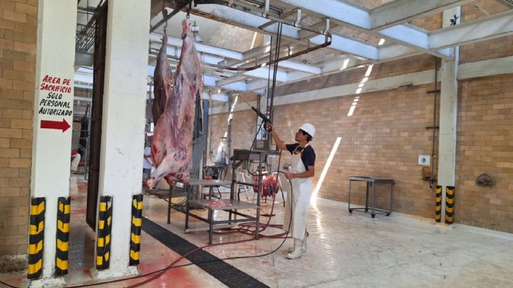 Beneficiará Pascua al Rastro Municipal; se avecina alta demanda por carne de res
