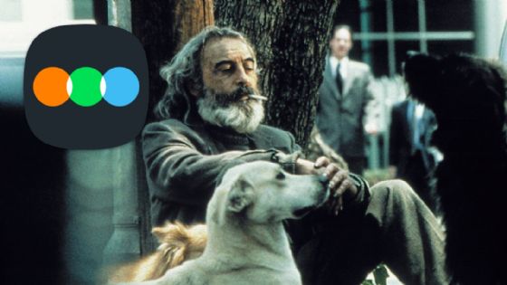 Estas son las mejores películas mexicanas de la historia, según Letterboxd; ¿en dónde verlas?