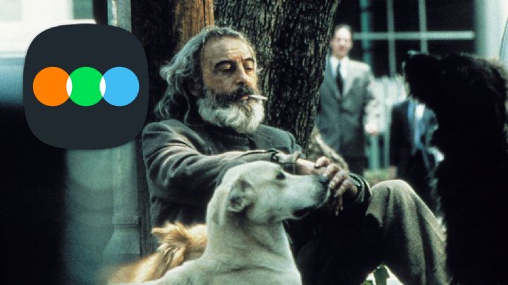 Estas son las mejores películas mexicanas de la historia, según Letterboxd; ¿en dónde verlas?