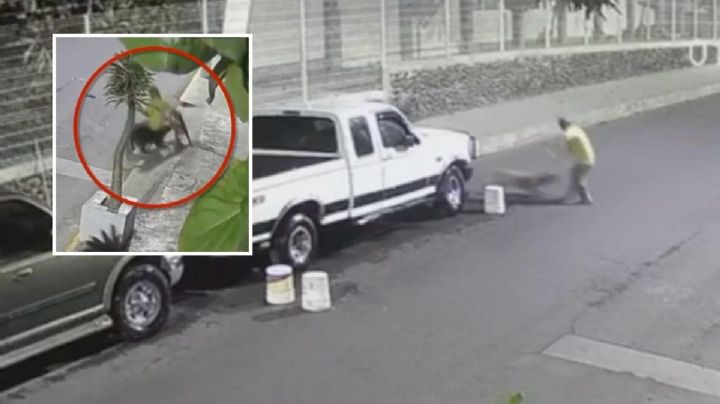 Hombre es atacado brutalmente por tres perros pitbull mientras lavaba su camioneta | VIDEO