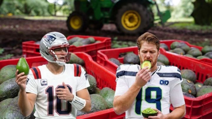 Super Bowl: ¿cuánto aguacate de México se consumirá durante el partido de la NFL?
