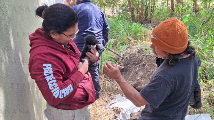 Nemorio pide ayuda para cachorrito que cayó a pozo en Nuevo Laredo; así fue el dramático rescate | VIDEO