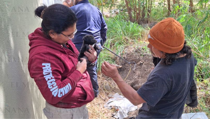 Nemorio pide ayuda para cachorrito que cayó a pozo en Nuevo Laredo; así fue el dramático rescate | VIDEO
