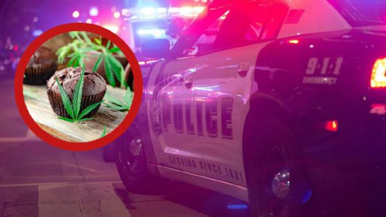 Bebé come muffin con THC en Laredo; padres hornearon el postre lleno de droga