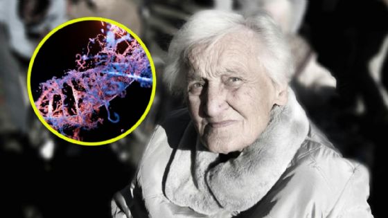 ¿El ADN dicta cuántos años vamos a vivir?; nuevo estudio científico redefine el envejecimiento