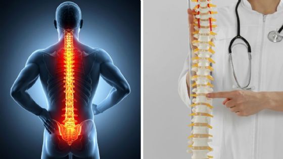 Evita lesiones en la columna vertebral; estas son las posturas correctas