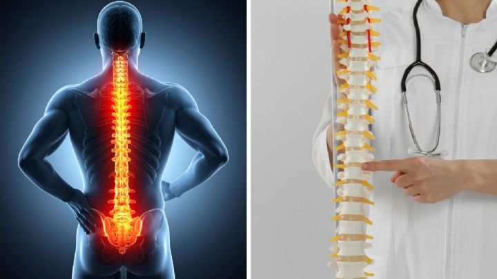 Evita lesiones en la columna vertebral; estas son las posturas correctas