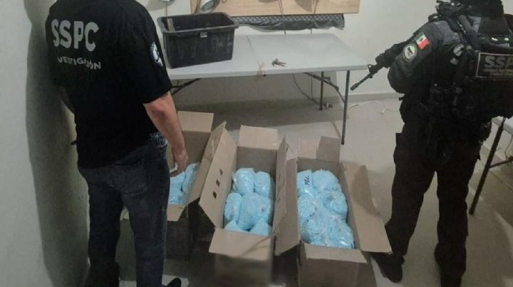 Gabinete de Seguridad asegura 270 kilos de metanfetamina en Colima; trabajo con la DEA fue clave