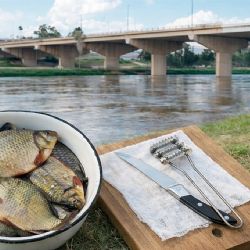 ¿Pescado tóxico en tu mesa?; ¿es seguro comer de lo que se pesca en el Río Bravo?