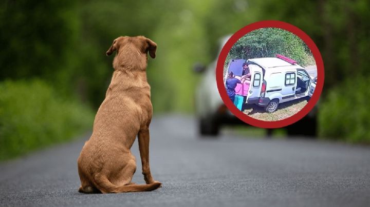 Rescatistas de animales son captados abandonando a dos perritos en la vía pública | VIDEO