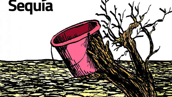 Cartón de Adrián: Sequía