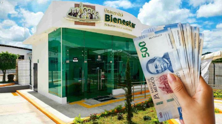 Inscritos a programa Bienestar recibirán pago de más de 10 mil pesos en abril; ellos son los beneficiarios