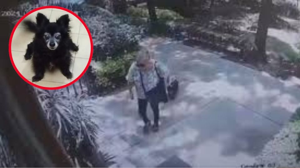 La resolución del caso generó una ola de indignación entre activistas, vecinos y personas enteradas del caso