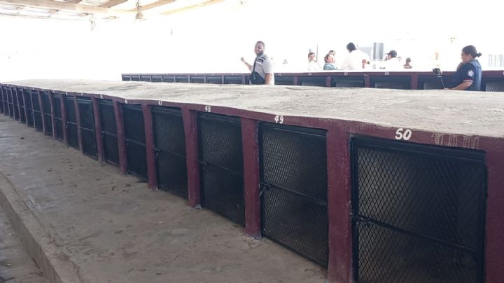 Reabren Centro de Atención Canina en Nuevo Laredo; aplicación de vacuna antirrábica será gratis