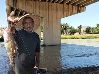 ¡No solo el catán!; estos son los otros peces que puedes pescar en el río Bravo