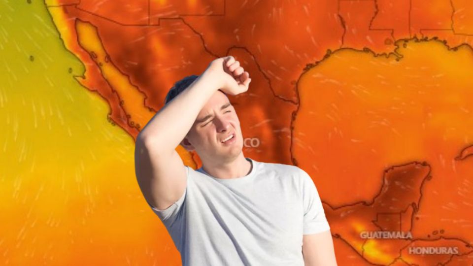 La canícula suele durar alrededor de 40 días.