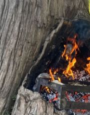 Foto descriptiva de: Hombres 'incendian' árbol para hacer carne asada en Nuevo León; estas podrían ser las consecuencias